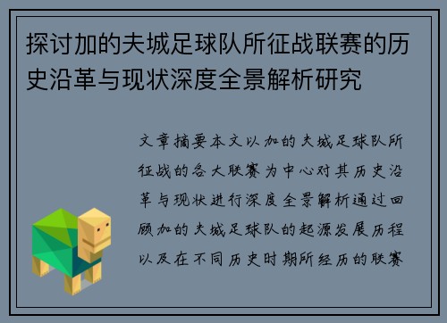 探讨加的夫城足球队所征战联赛的历史沿革与现状深度全景解析研究
