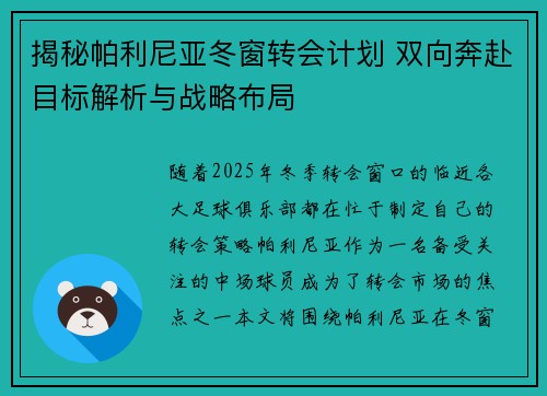 揭秘帕利尼亚冬窗转会计划 双向奔赴目标解析与战略布局